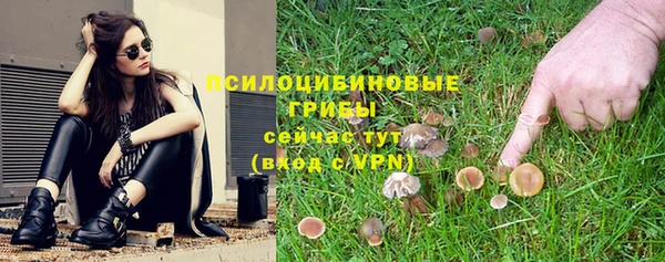 меф VHQ Дмитриев