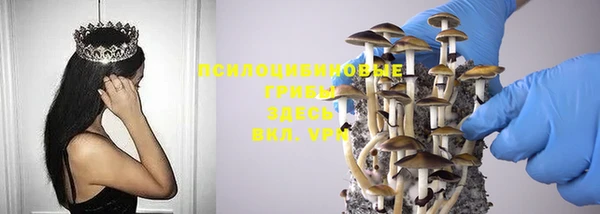 меф VHQ Дмитриев