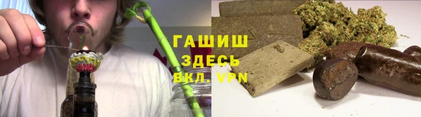 гидра Дмитровск