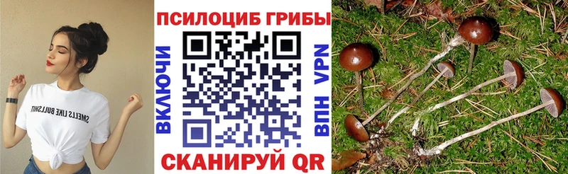 Псилоцибиновые грибы мицелий  Томилино 